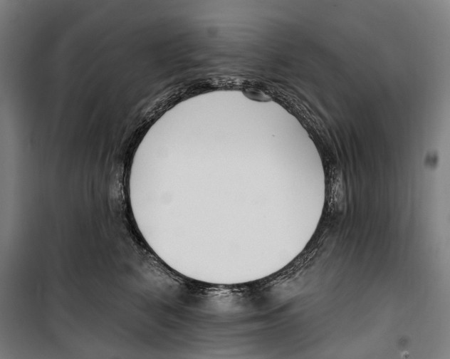 X0000099520616200806121503