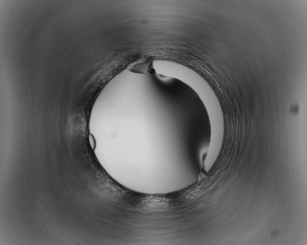 X0000099520617200806121503