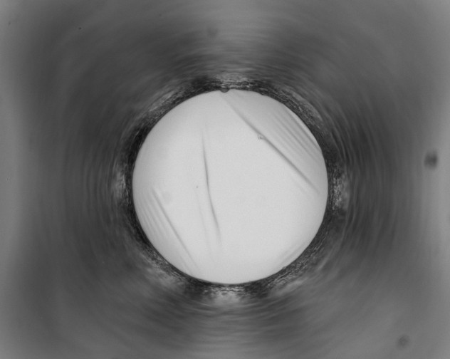 X0000099520618200806121503