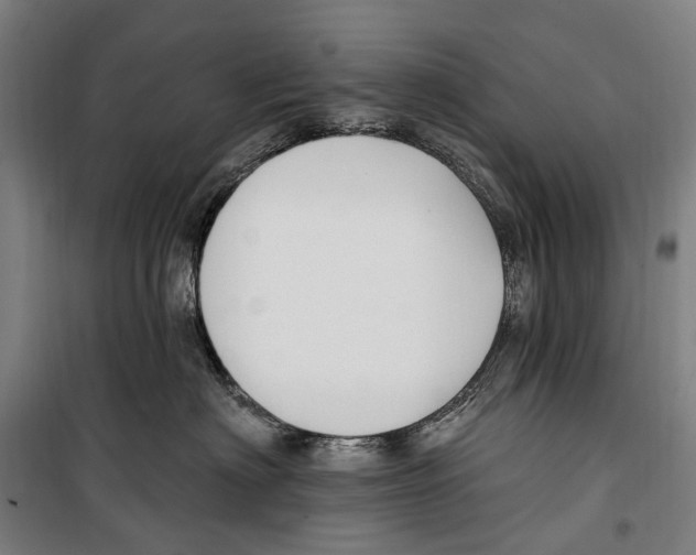 X0000099520622200806121503