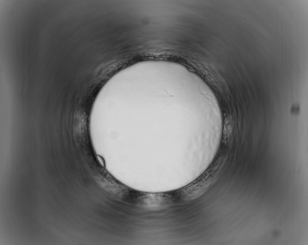 X0000099520623200806121503