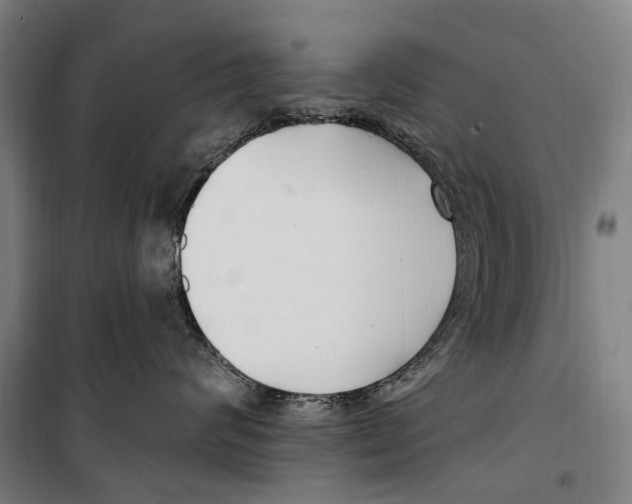 X0000099520624200806121503