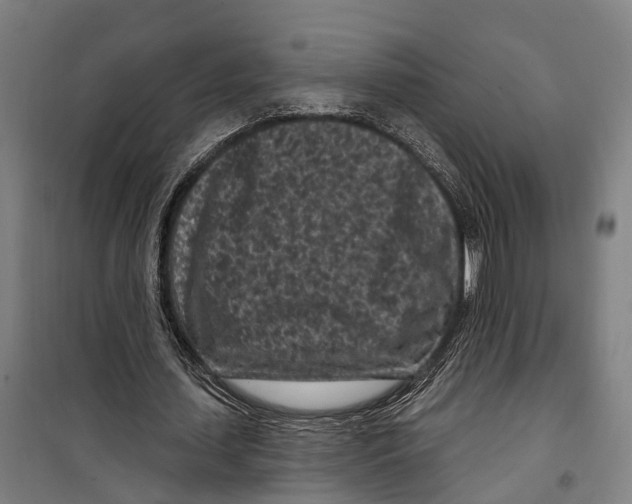 X0000099520627200806121503