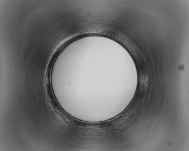 X0000099520628200806121503