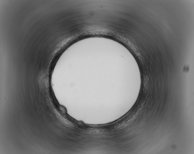 X0000099520629200806121503