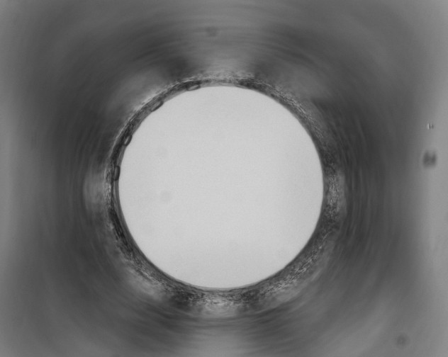 X0000099520632200806121503