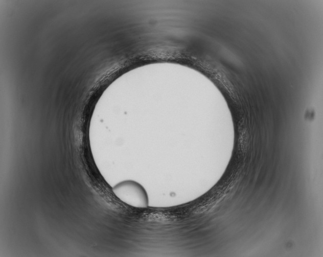 X0000099520635200806121503