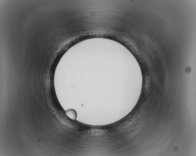 X0000099520636200806121503