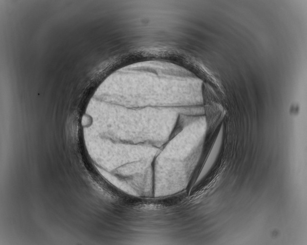 X0000099520637200806121503