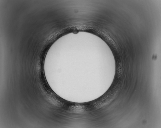 X0000099520639200806121503