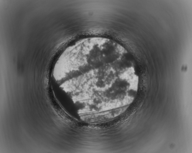 X0000099520640200806121503