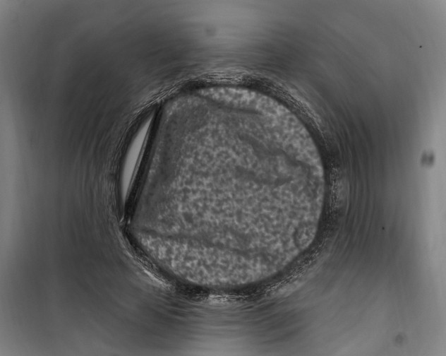 X0000099520641200806121503