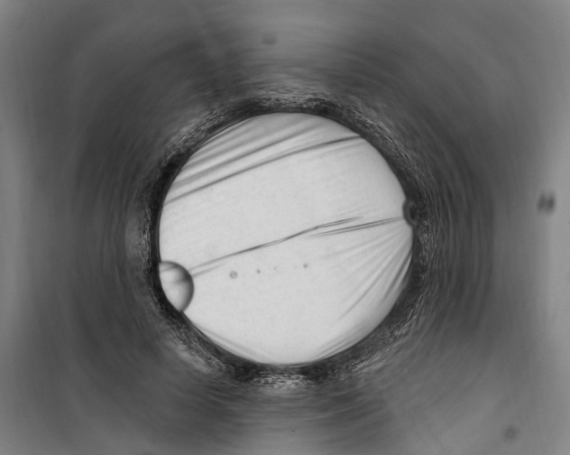 X0000099520642200806121503