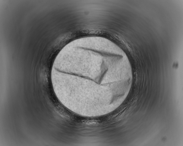 X0000099520643200806121503