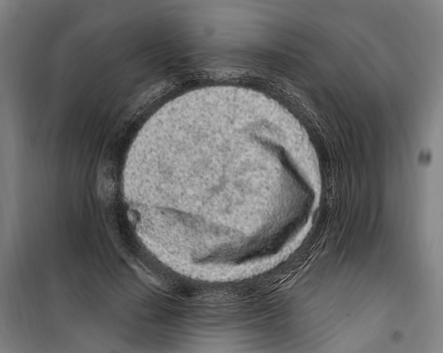 X0000099520644200806121503