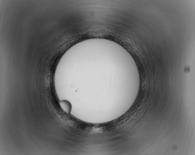 X0000099520647200806121503