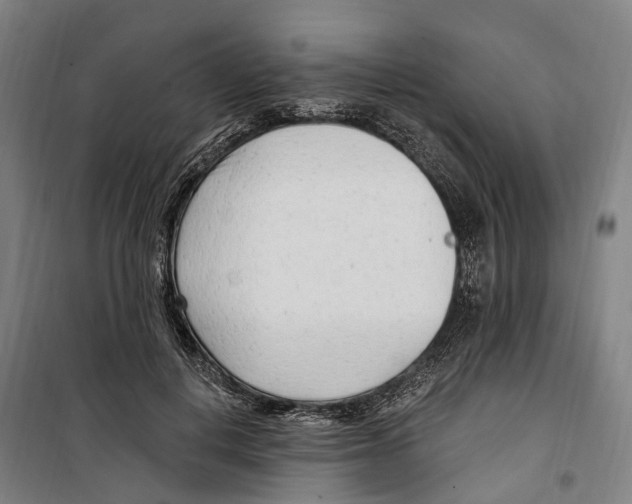 X0000099520648200806121503