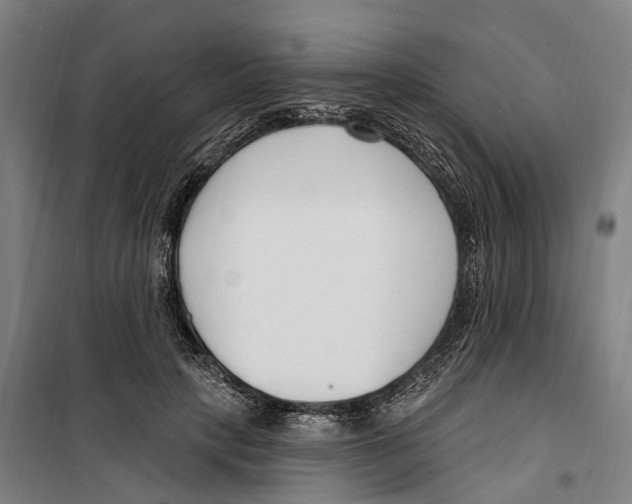 X0000099520649200806121503