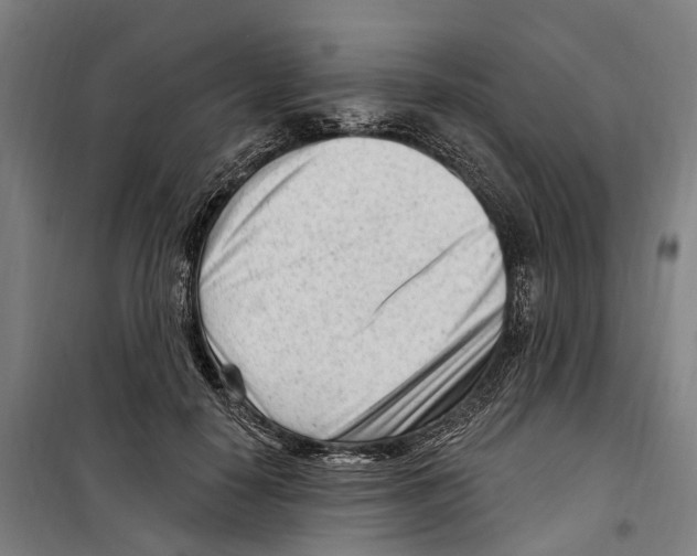 X0000099520650200806121503