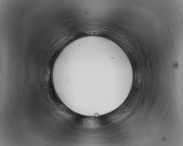 X0000099520652200806121503