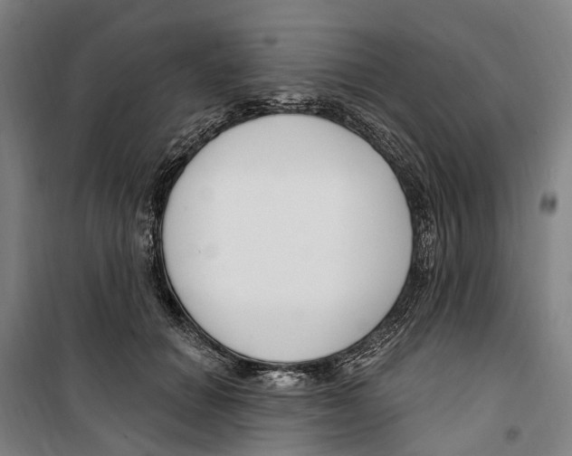 X0000099520654200806121503