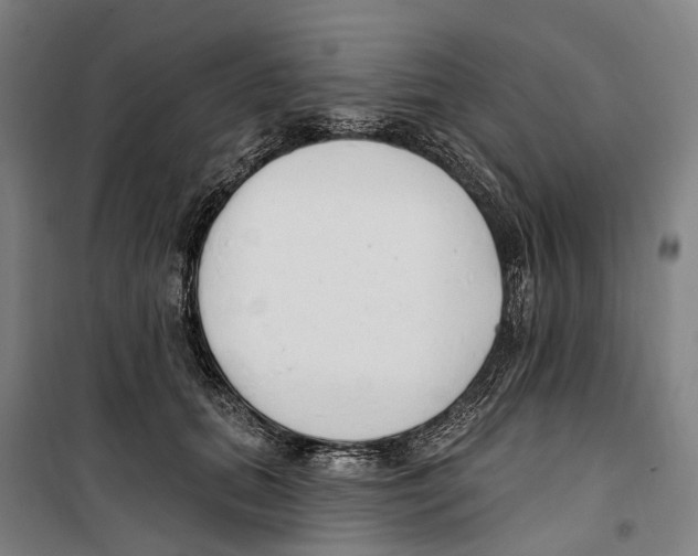 X0000099520655200806121503