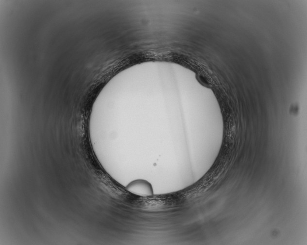 X0000099520658200806121503