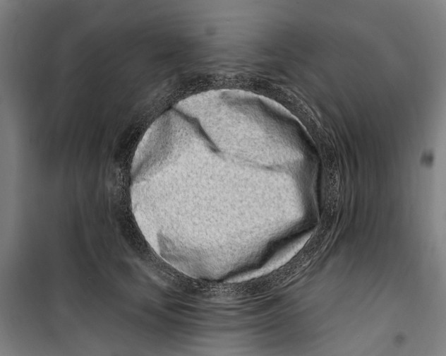 X0000099520659200806121503