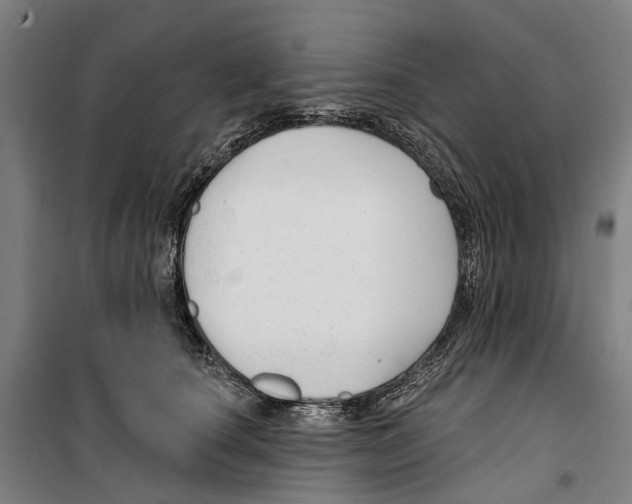 X0000099520660200806121503