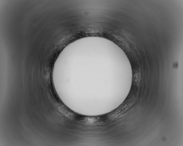 X0000099520662200806121503