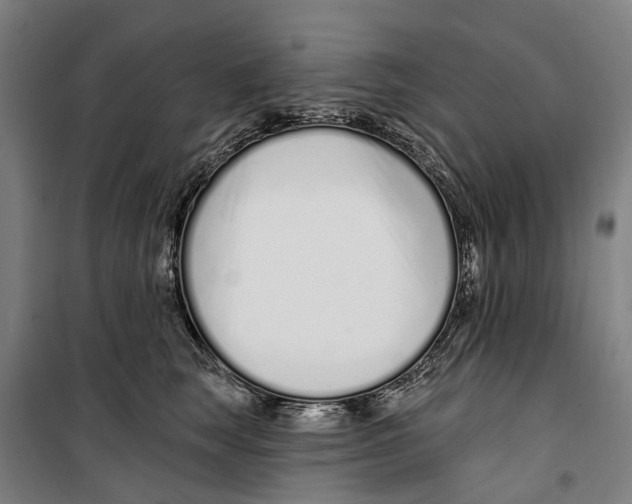 X0000099520663200806121503