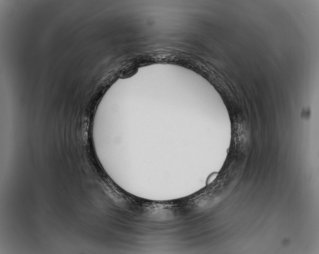 X0000099520664200806121503