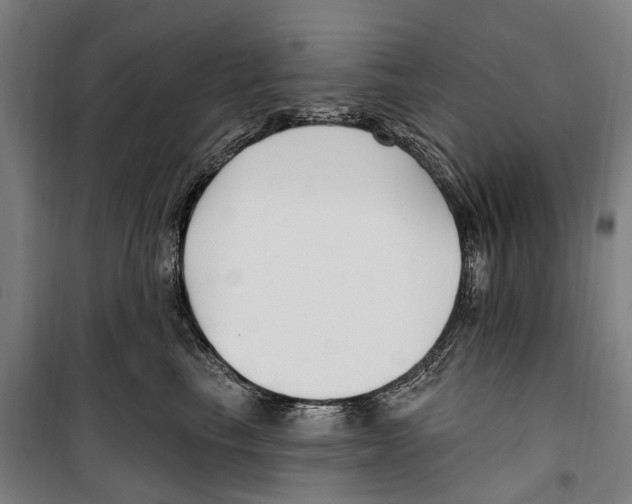 X0000099520665200806121503