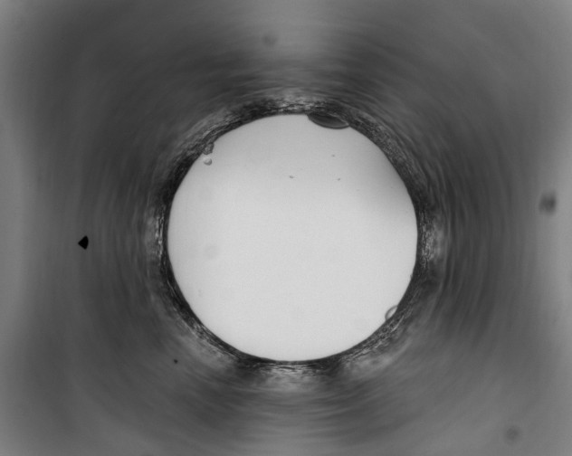 X0000099520666200806121503