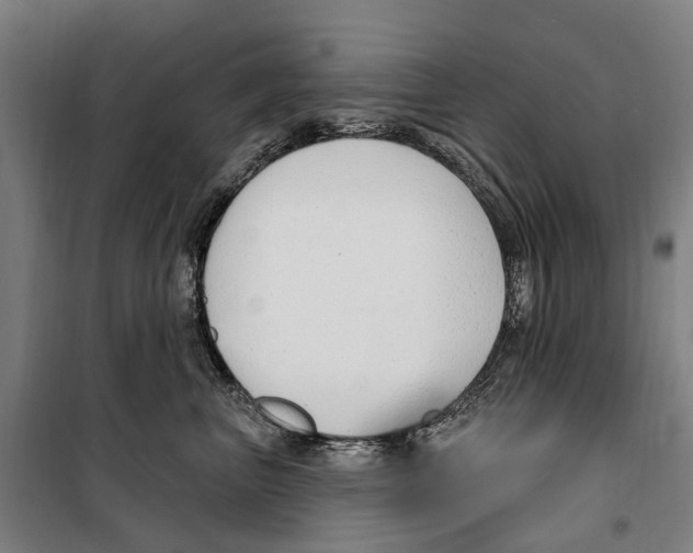 X0000099520667200806121503