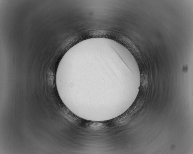 X0000099520669200806121503