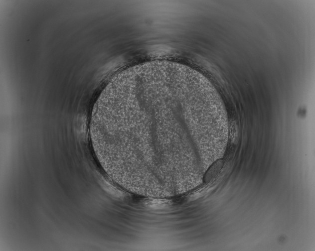 X0000099520670200806121503