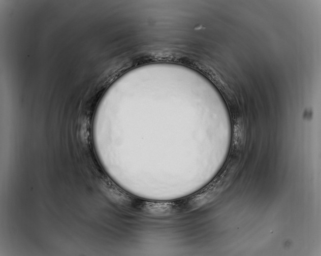 X0000099520671200806121503