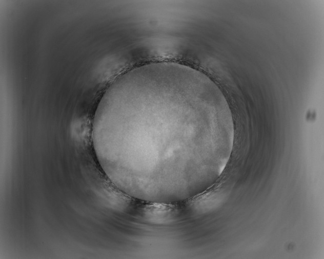 X0000099520672200806121503