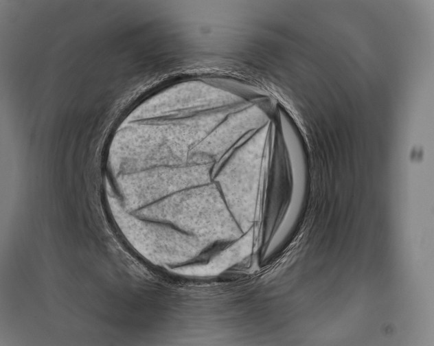 X0000099520673200806121502