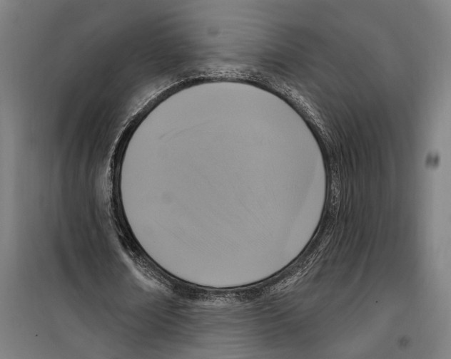 X0000099520674200806121502