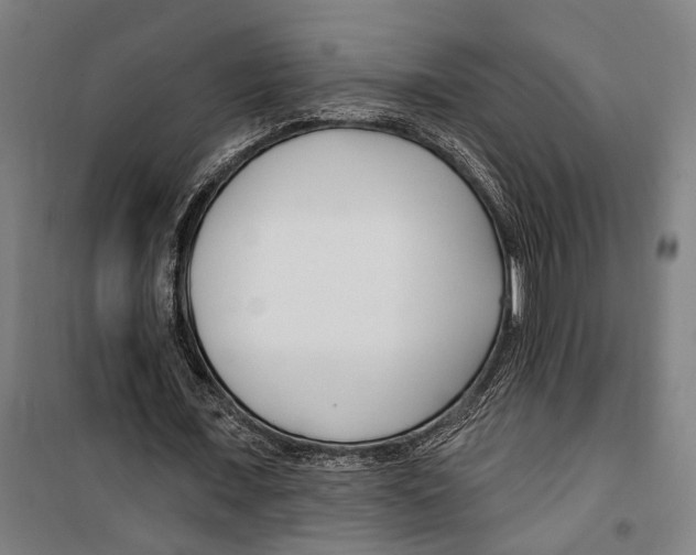 X0000099520675200806121502