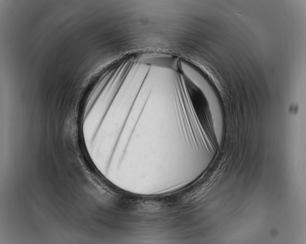 X0000099520677200806121502