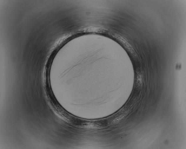 X0000099520678200806121502