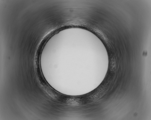 X0000099520680200806121502