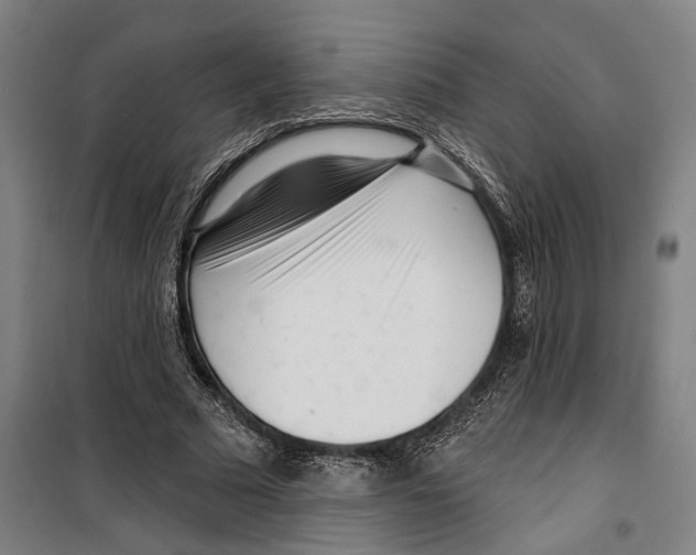 X0000099520681200806121502