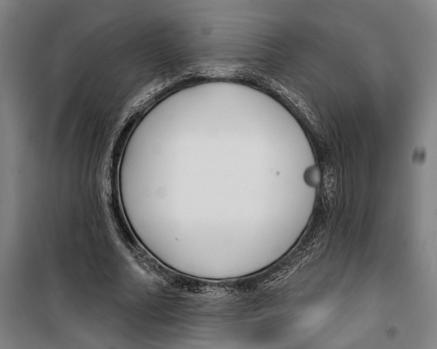 X0000099520682200806121502