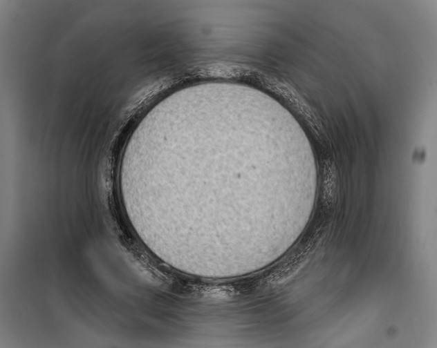 X0000099520683200806121502