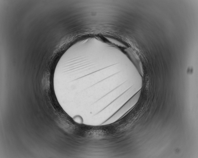 X0000099520685200806121502