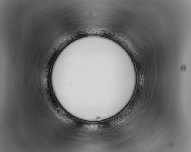 X0000099520687200806121502